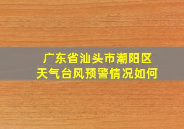 广东省汕头市潮阳区天气台风预警情况如何