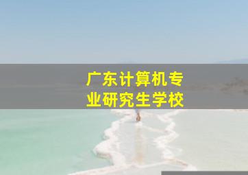 广东计算机专业研究生学校