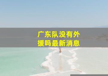 广东队没有外援吗最新消息