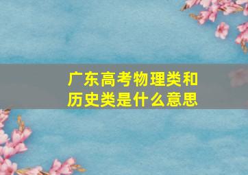 广东高考物理类和历史类是什么意思