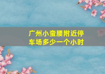 广州小蛮腰附近停车场多少一个小时