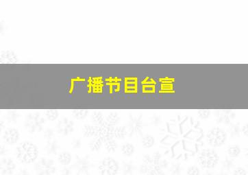 广播节目台宣