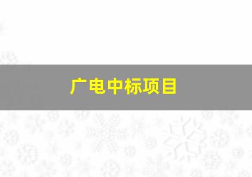 广电中标项目