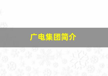 广电集团简介