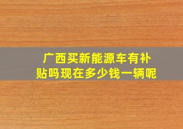 广西买新能源车有补贴吗现在多少钱一辆呢