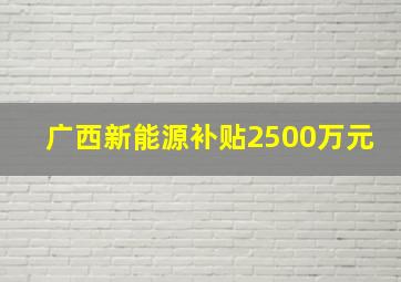 广西新能源补贴2500万元