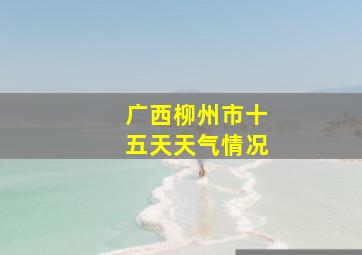 广西柳州市十五天天气情况