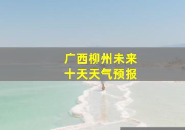 广西柳州未来十天天气预报