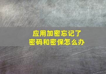 应用加密忘记了密码和密保怎么办