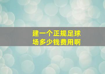 建一个正规足球场多少钱费用啊