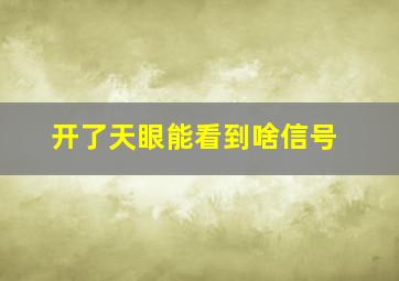 开了天眼能看到啥信号