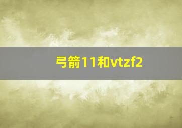 弓箭11和vtzf2