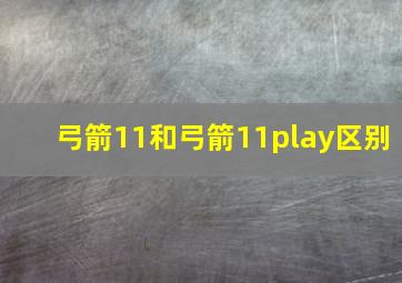 弓箭11和弓箭11play区别