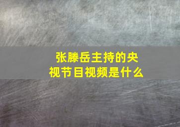 张滕岳主持的央视节目视频是什么