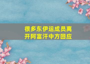 很多东伊运成员离开阿富汗中方回应