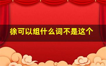 徐可以组什么词不是这个