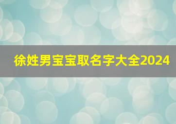 徐姓男宝宝取名字大全2024