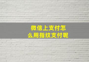 微信上支付怎么用指纹支付呢