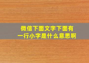 微信下面文字下面有一行小字是什么意思啊