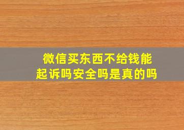 微信买东西不给钱能起诉吗安全吗是真的吗