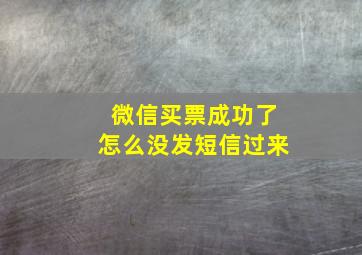 微信买票成功了怎么没发短信过来