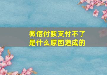 微信付款支付不了是什么原因造成的