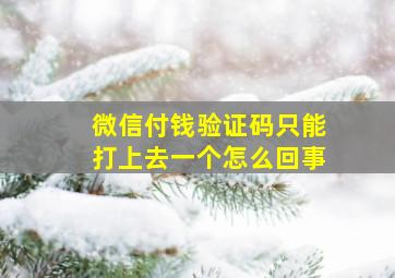 微信付钱验证码只能打上去一个怎么回事