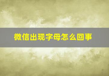 微信出现字母怎么回事