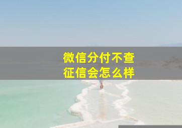 微信分付不查征信会怎么样