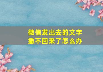 微信发出去的文字撤不回来了怎么办