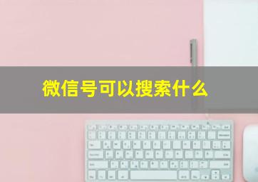 微信号可以搜索什么