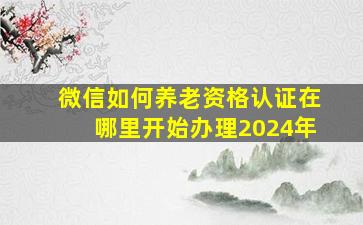 微信如何养老资格认证在哪里开始办理2024年