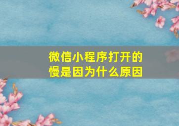 微信小程序打开的慢是因为什么原因