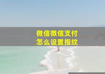 微信微信支付怎么设置指纹