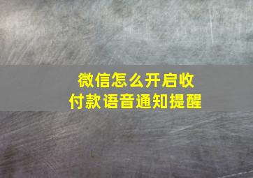 微信怎么开启收付款语音通知提醒