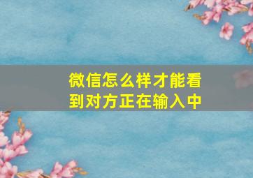 微信怎么样才能看到对方正在输入中