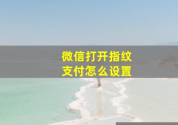 微信打开指纹支付怎么设置