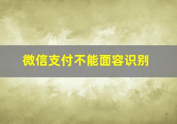 微信支付不能面容识别