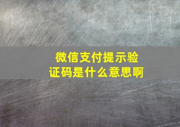 微信支付提示验证码是什么意思啊