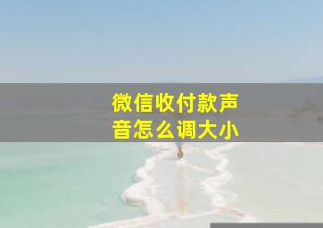 微信收付款声音怎么调大小