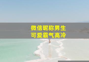 微信昵称男生可爱霸气高冷