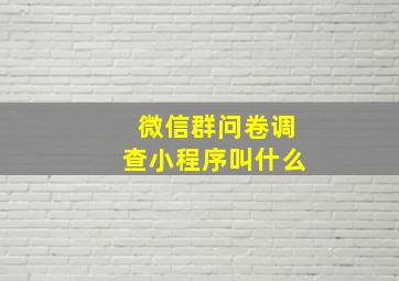 微信群问卷调查小程序叫什么