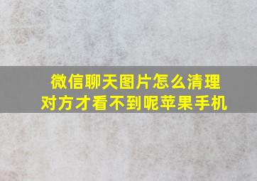 微信聊天图片怎么清理对方才看不到呢苹果手机