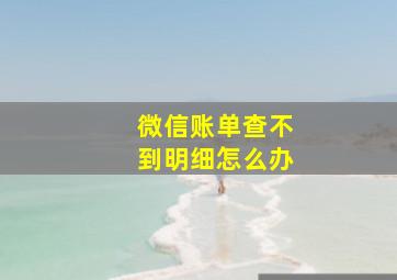 微信账单查不到明细怎么办