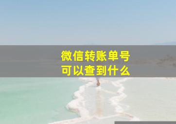 微信转账单号可以查到什么