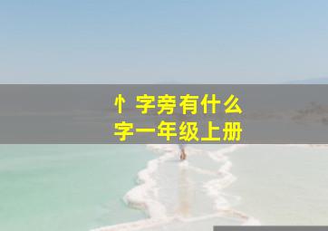 忄字旁有什么字一年级上册