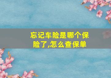 忘记车险是哪个保险了,怎么查保单