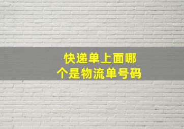 快递单上面哪个是物流单号码