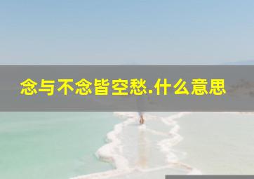 念与不念皆空愁.什么意思