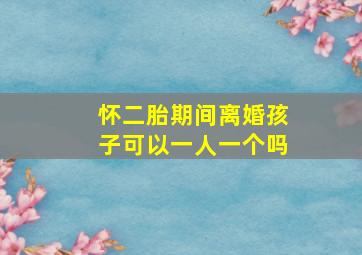 怀二胎期间离婚孩子可以一人一个吗